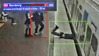 snapedit 1774642054827 1