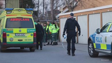 snapedit 1774901113354 1