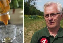 17 falskhonung webb 1