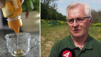 17 falskhonung webb 1