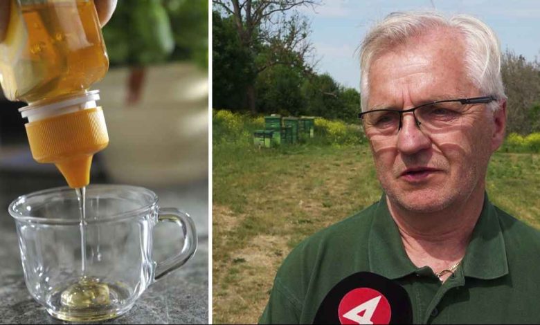 17 falskhonung webb 1