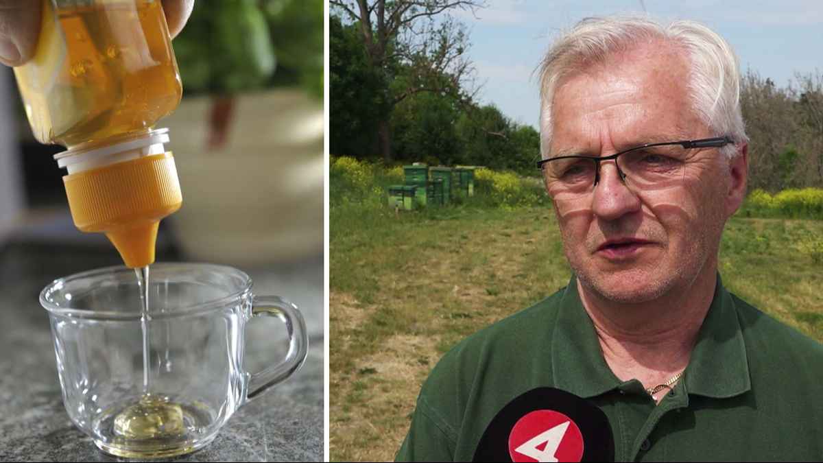 17 falskhonung webb 1