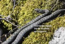 f297108b f937 4bb7 90ad 1a6407806b09 1