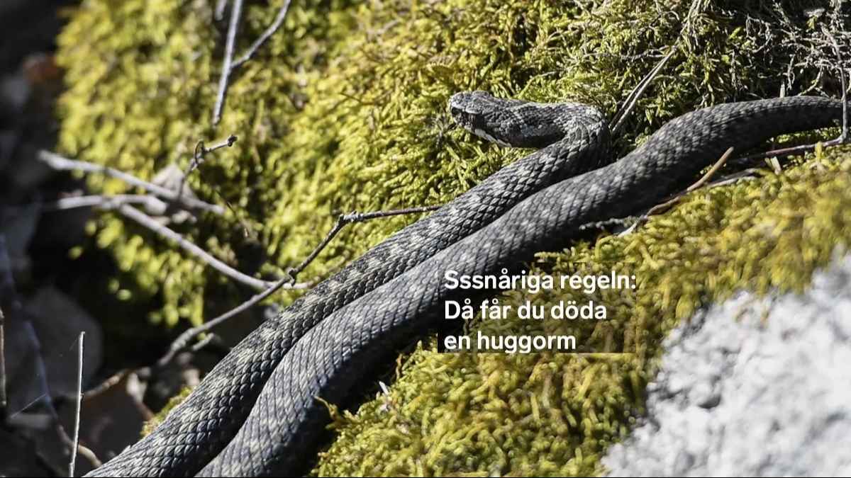 f297108b f937 4bb7 90ad 1a6407806b09 1