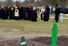 snapedit 1775138721862 1