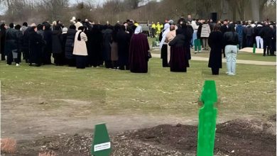 snapedit 1775138721862 1