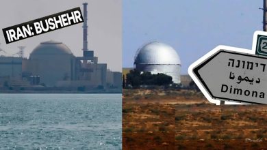 snapedit 1775350248830 1