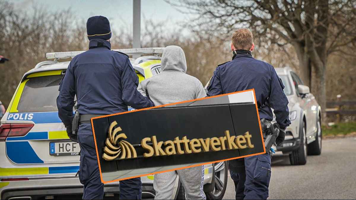 snapshot 12 04 2023 17 25 1