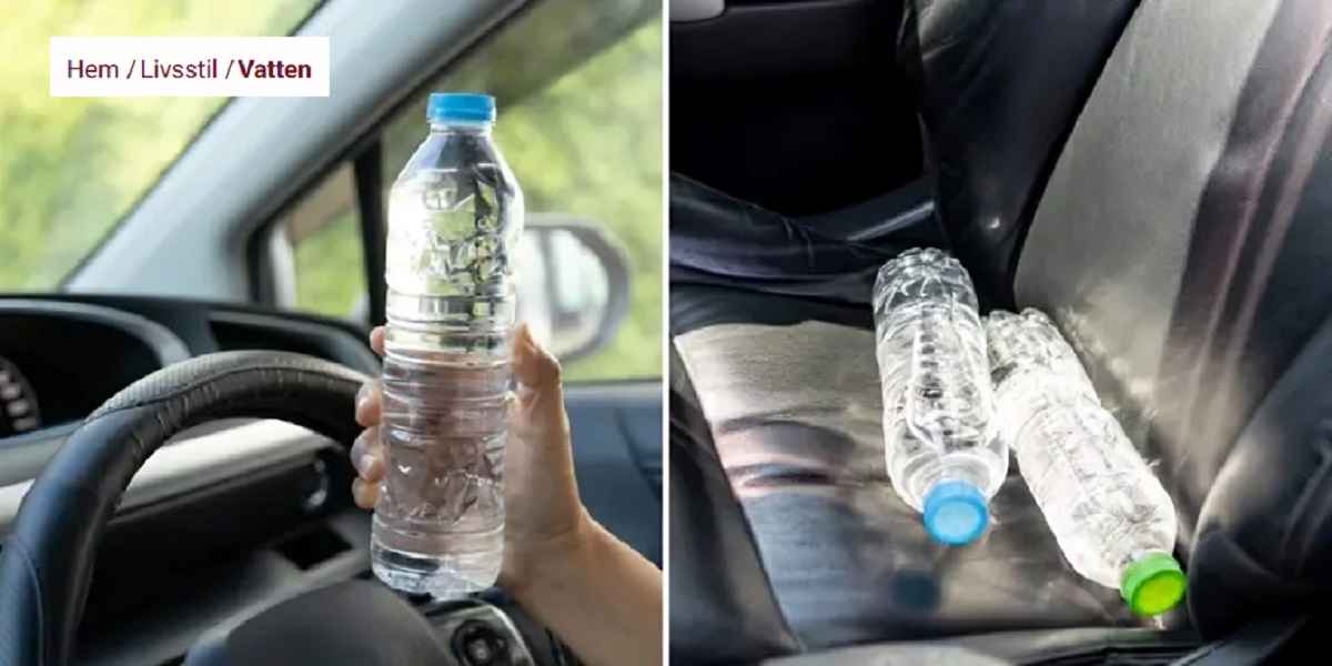 هل شرب الماء المتروك داخل السيارة خلال الصيف خطر؟ خبراء يحذرون! 1 56789 1
