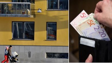 Kopia av tader 25 1