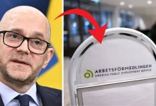etableringsjobb