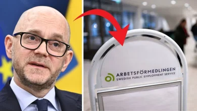 etableringsjobb