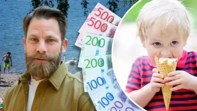 sommar ekonomi magnus hjelmer 1 1