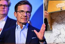 1 1 9